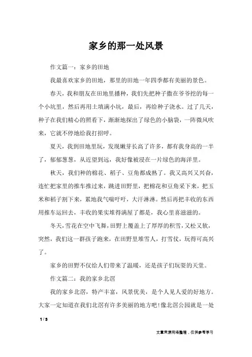 家乡的那一处风景_作文专题