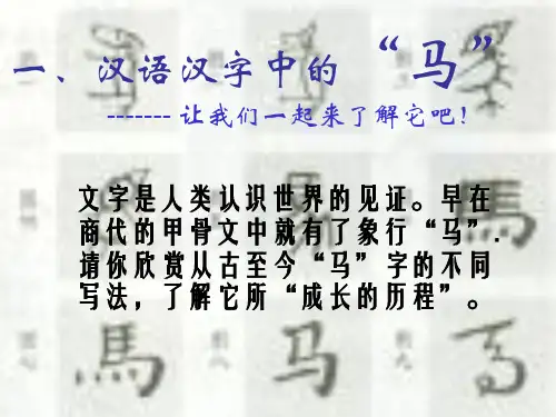 带你走进马的世界课件