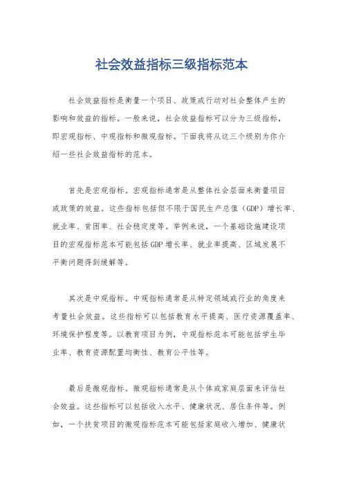 社会效益指标三级指标范本