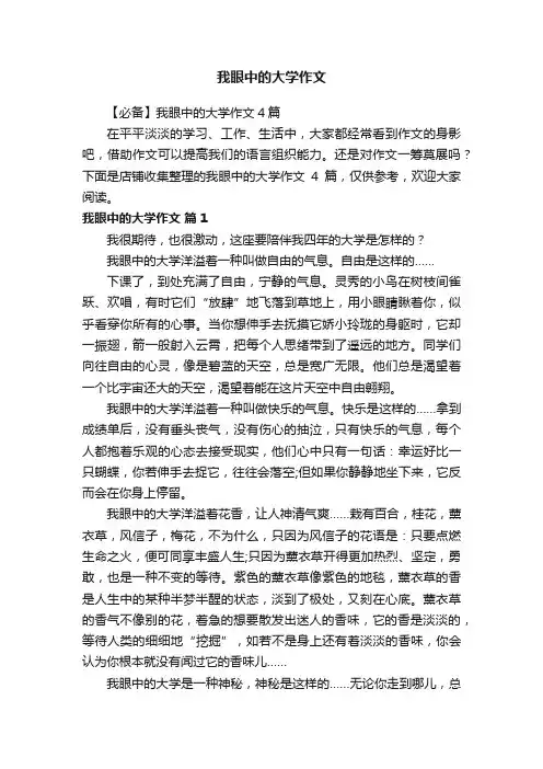 我眼中的大学作文