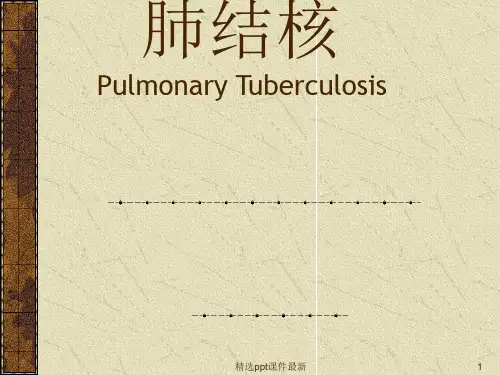 内科学肺结核PPT课件