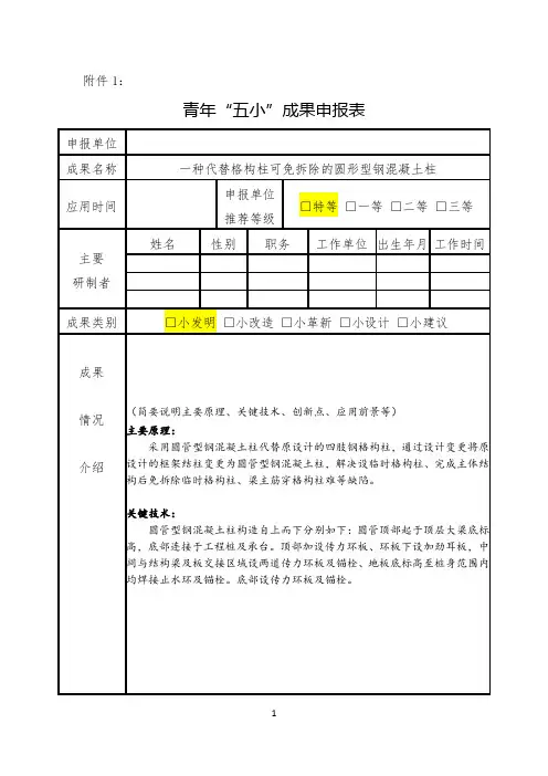 青年“五小”成果申报表