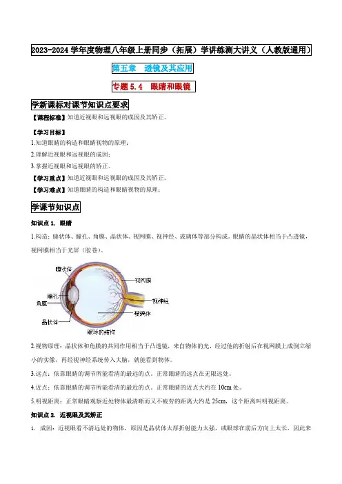 专题5-4  眼睛和眼镜(解析版) 