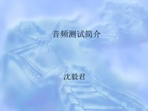 音频测试简介