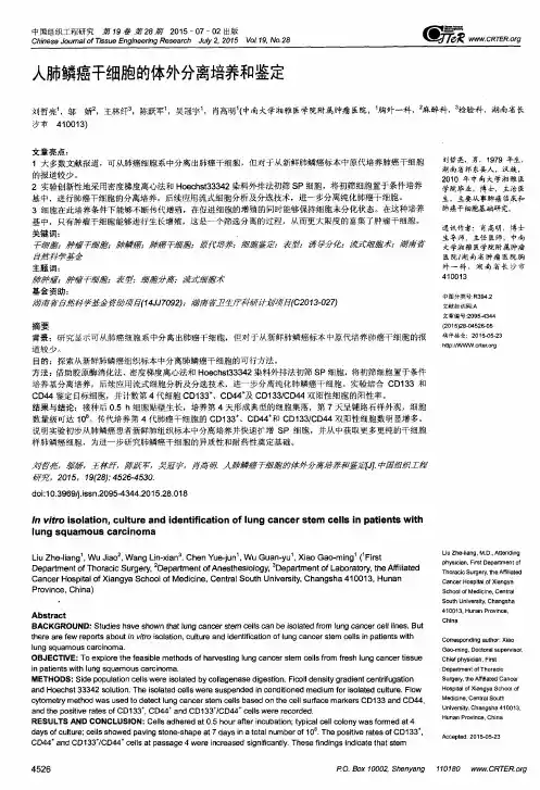 人肺鳞癌干细胞的体外分离培养和鉴定