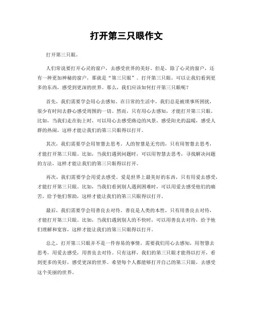 打开第三只眼作文