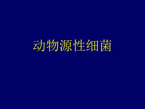 动物源性细菌知识