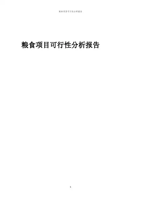 粮食项目可行性分析报告