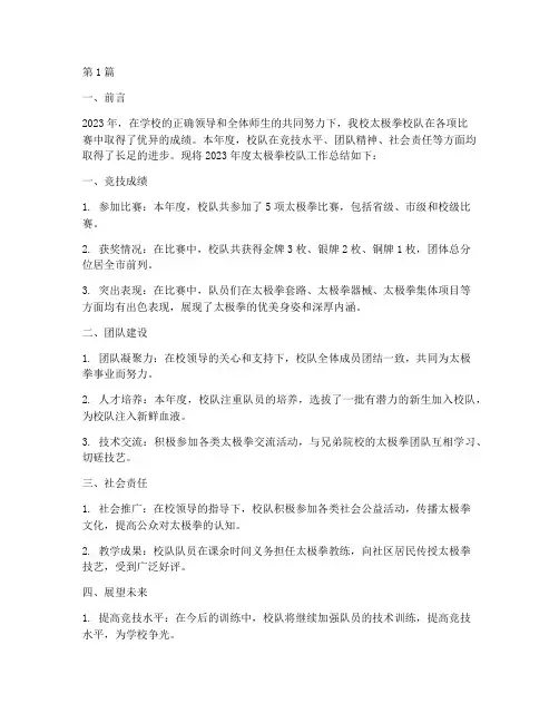 太极拳校队年度总结(3篇)