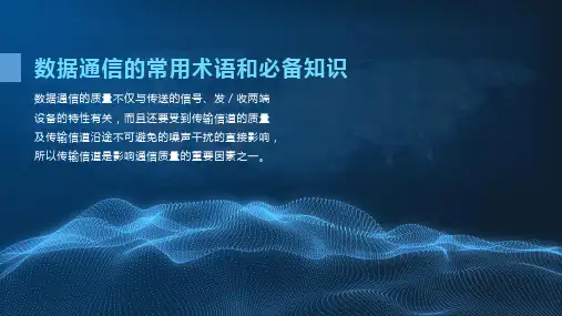 3.1.13.1信道概述学习资料