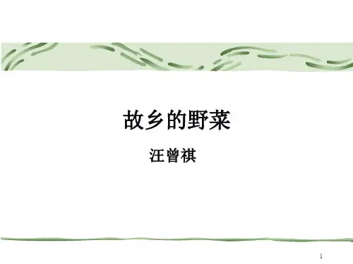 汪曾祺_故乡的野菜ppt课件