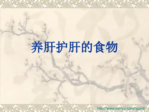 养肝护肝的食物