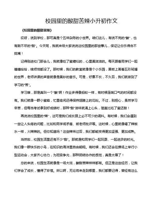 校园里的酸甜苦辣小升初作文