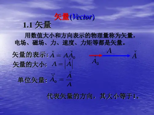 矢量分析