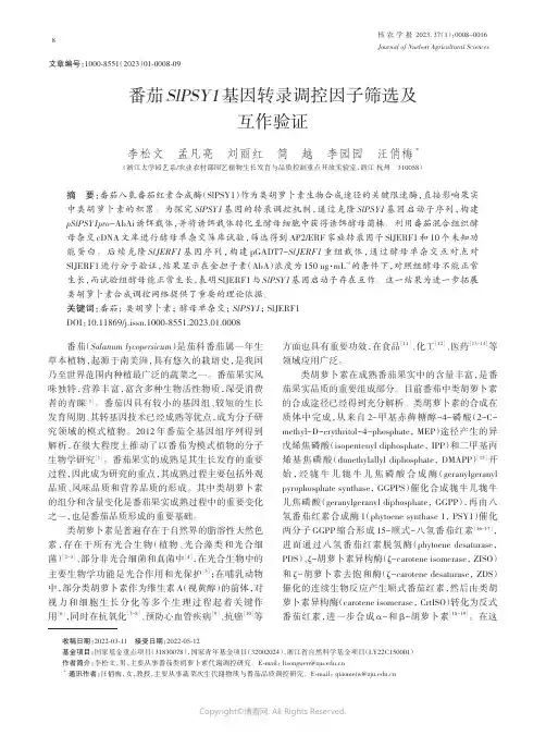 番茄SlPSY1基因转录调控因子筛选及互