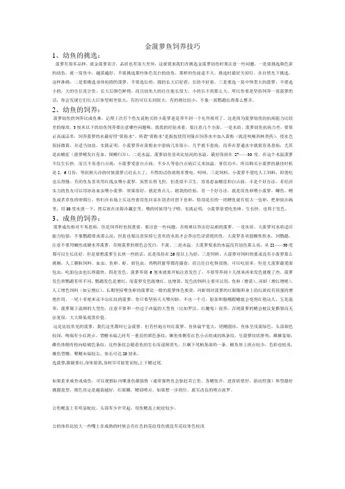 金菠萝鱼饲养技巧