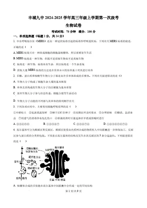 2024-2025学年江西省宜春市丰城九中高三上学期第一次段考生物试题及答案