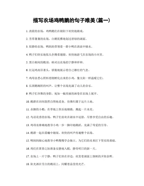 描写农场鸡鸭鹅的句子唯美(精选2篇)