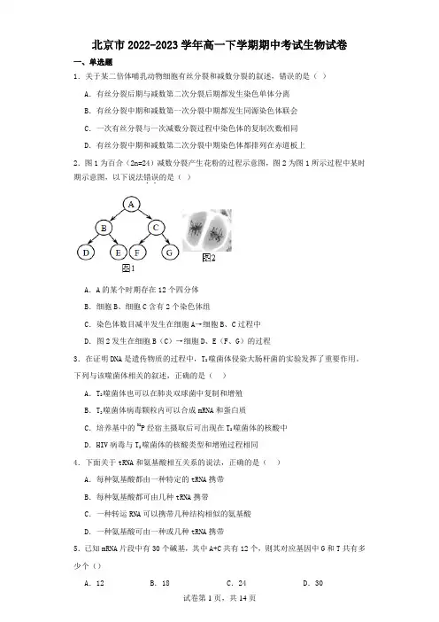 北京市2022-2023学年高一下学期期中考试生物试卷(含解析)