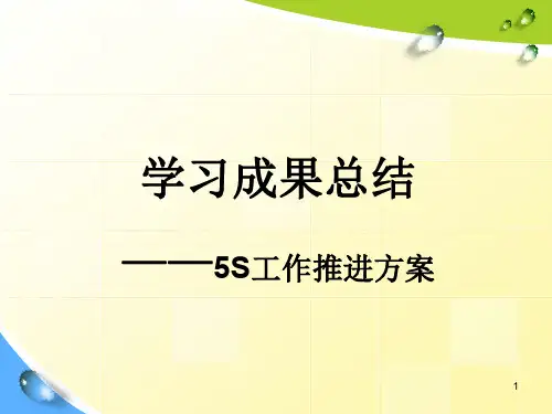 5S工作推进方案ppt课件