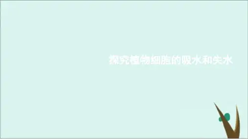 人教版生物必修一《探究植物细胞的吸水与失水》说课 课件完美版