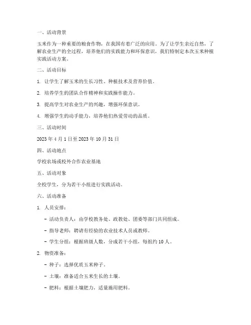 实践活动种玉米方案