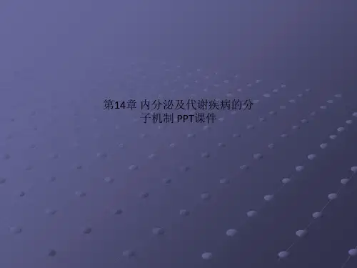 第14章 内分泌及代谢疾病的分子机制 PPT课件