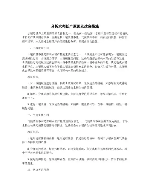 分析水稻低产原因及改良措施
