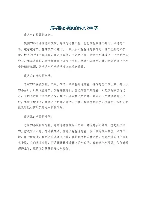 描写静态场景的作文200字