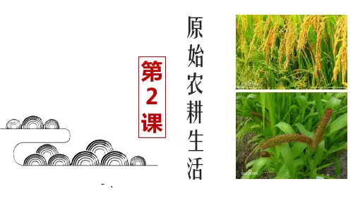 《原始农耕生活》PPT精品课件