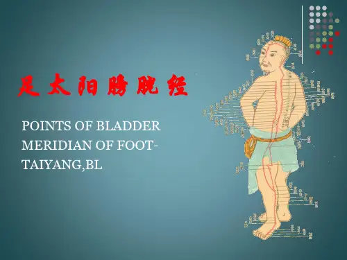 足太阳膀胱经PPT课件