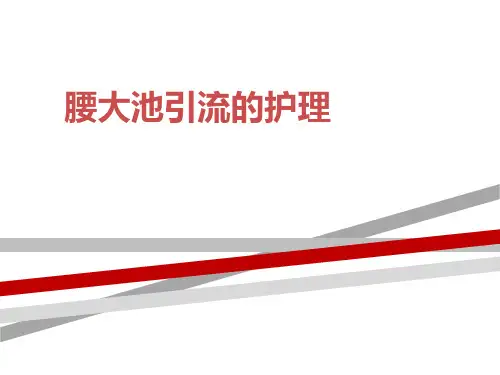 腰大池引流护理.ppt