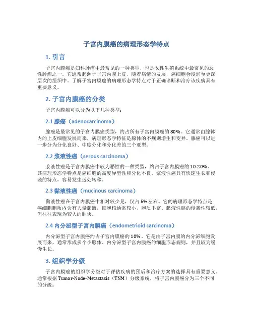 子宫内膜癌的病理形态学特点