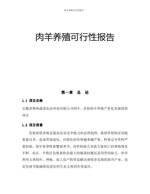 肉羊养殖可行性报告