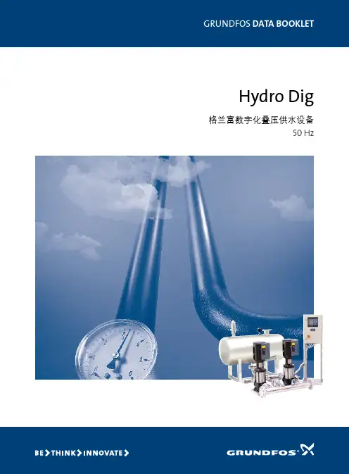 格兰富hydro Dig叠压供水