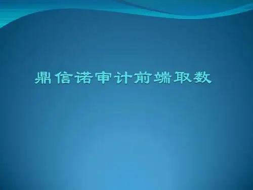 鼎信诺审计前端取数讲解
