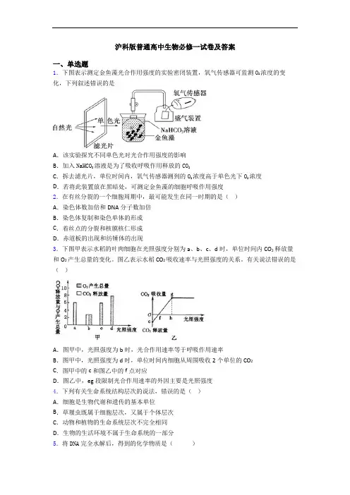 沪科版普通高中生物必修一试卷及答案