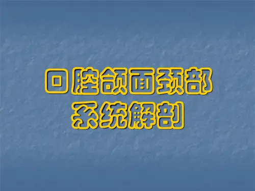 口腔解剖生理学：口腔颌面颈部系统解剖
