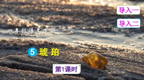 部编版(统编版)小学语文四年级下册第二单元《5 琥珀》教学课件(完整版