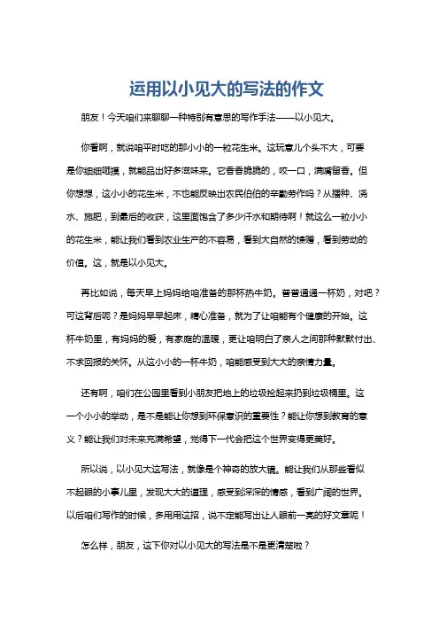 运用以小见大的写法的作文