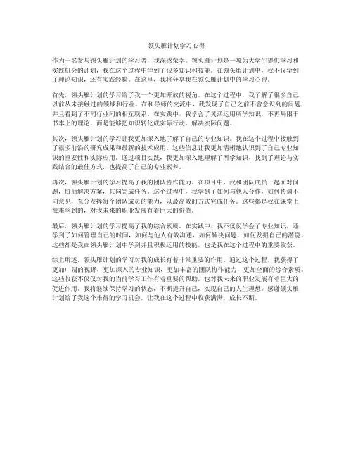 领头雁计划学习心得