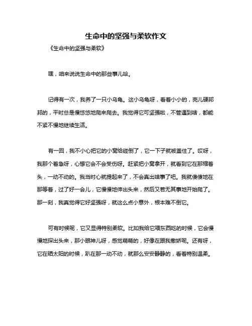生命中的坚强与柔软作文