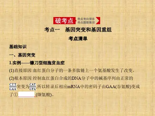 2020年高考山东版高考生物     专题14 生物的变异及应用