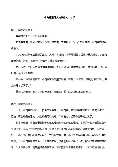 小白兔遇见大灰狼作文二年级