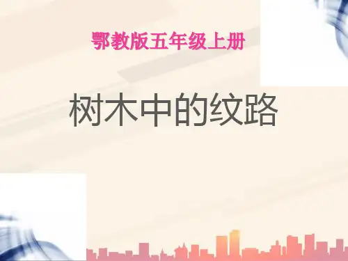 鄂教版科学五年级上册第3课《树木中的纹路》ppt课件