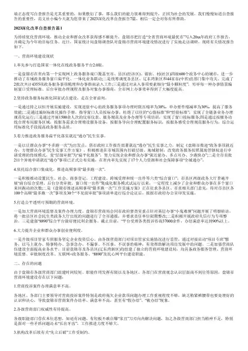2023深化改革自查报告7篇
