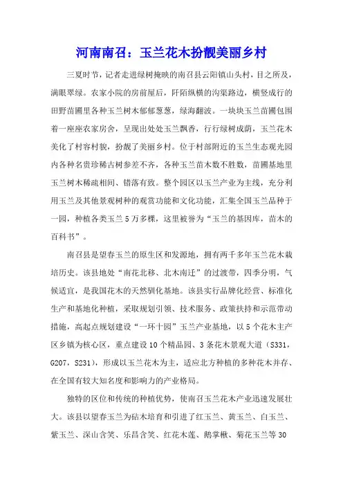 河南南召：玉兰花木扮靓美丽乡村