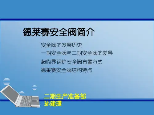 德莱赛安全阀简介