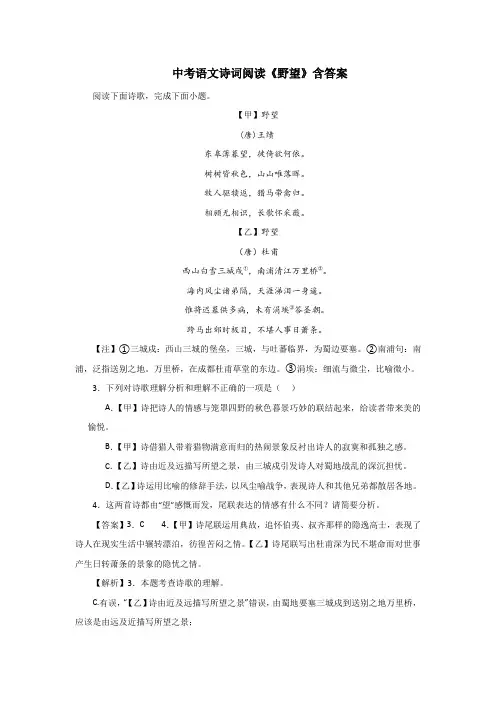 中考语文诗词阅读《野望》含答案