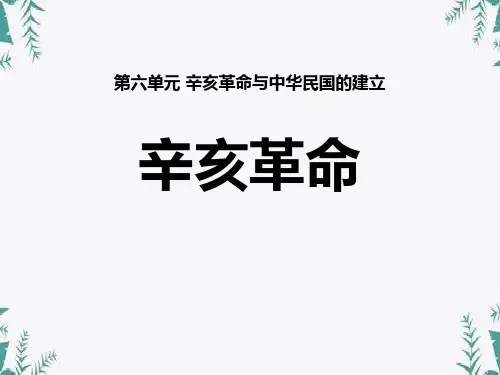 《辛亥革命》辛亥革命与中华民国的建立 图文